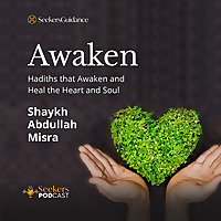 Awaken! : Hadiths to Awaken and Heal the Heart and Soul