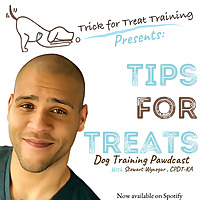 Tips for Treats: The Dog Training Pawdcast