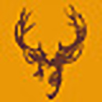 Parker Arms and Gunsmithing Blog &raquo; Gun