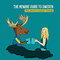 The Newbie Guide to Sweden Podcast
