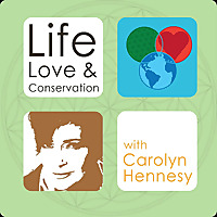 Life, Love & Conservation with Carolyn Hennesy