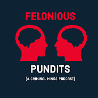 Felonious Pundits