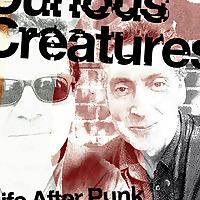 Curious Creatures