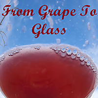 Grape to Glass: Deconstructing Romance of Winemaking