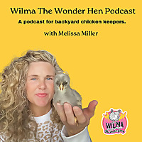 Wilma The Wonder Hen Podcast