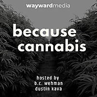 because cannabis