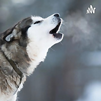 BarcVox. The voice of enterprise business architecture and more.