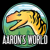 Aaron's World