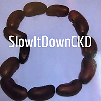 SlowItDownCKD