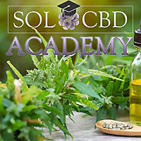 The CBD Academy by SOL*CBD