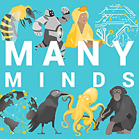 Many Minds