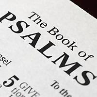 Scripture Reading
