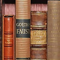 The Spine View » Young Adult