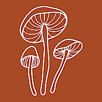Harris Sliwoski » Psychedelics Law Blog
