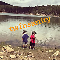 twInsanity