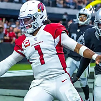 Birdgang drive