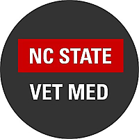 NC State Veterinary Medicine News &raquo; Dog Health