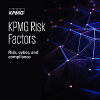 KPMG Risk Factors