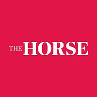 The Horse