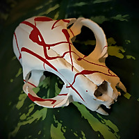 Cherry's Edmonton True Crime