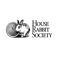 Rabbit.org Foundation Blog