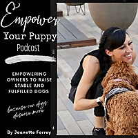 Empowered Puppy