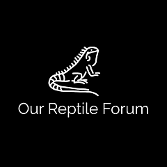 Our Reptile Forum &raquo; Amphibians
