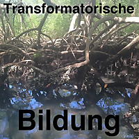 Transformatorische Bildung
