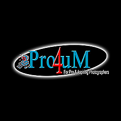 The Pro4uM Forum &raquo; Sports