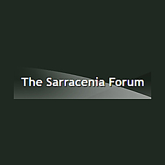 The Sarracenia Forums