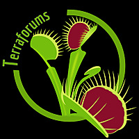 Terra Forum &raquo; Sarracenia