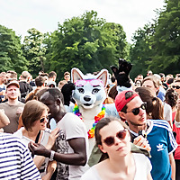 Piknik Elektronik Records