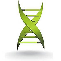 Medical Xpress &raquo; Endocrinology news