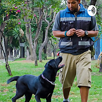 De Perros Hablamos