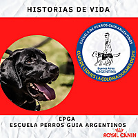 Escuela Perros Guia Argentinos