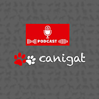 Consejos veterinarios de perros y gatos by canigat