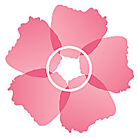 Wild Rose College of Herbal Medicine Blog