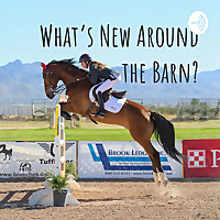 What's New Around the Barn?