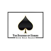 The Business of Horses with Solo Select