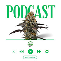 Home Grow TV Talk Show