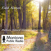 Field Notes