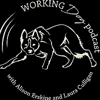 The Working Dog Podcast