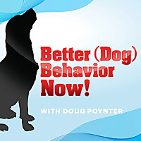Better (Dog) Behavior Now!