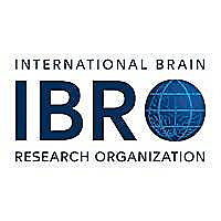 IBRO