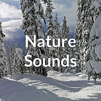 Nature Sounds