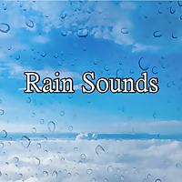 Nature Rain Sounds