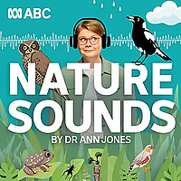 Nature Sounds