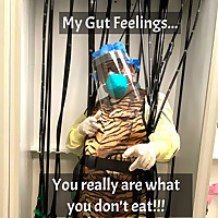 My Gut Feelings