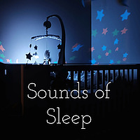 Sounds of Sleep