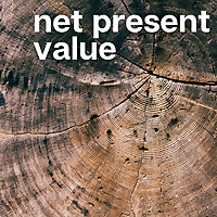 net present value